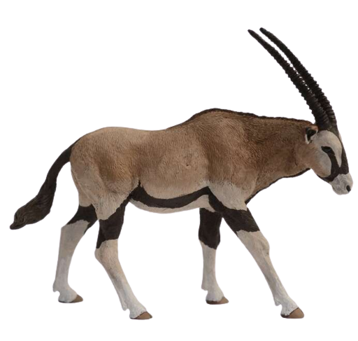 Papo(パポ) アンテロープオリックス PVC PA50139 tf8su2k Amazon.com: Papo Onyx Antelope Toy Figure