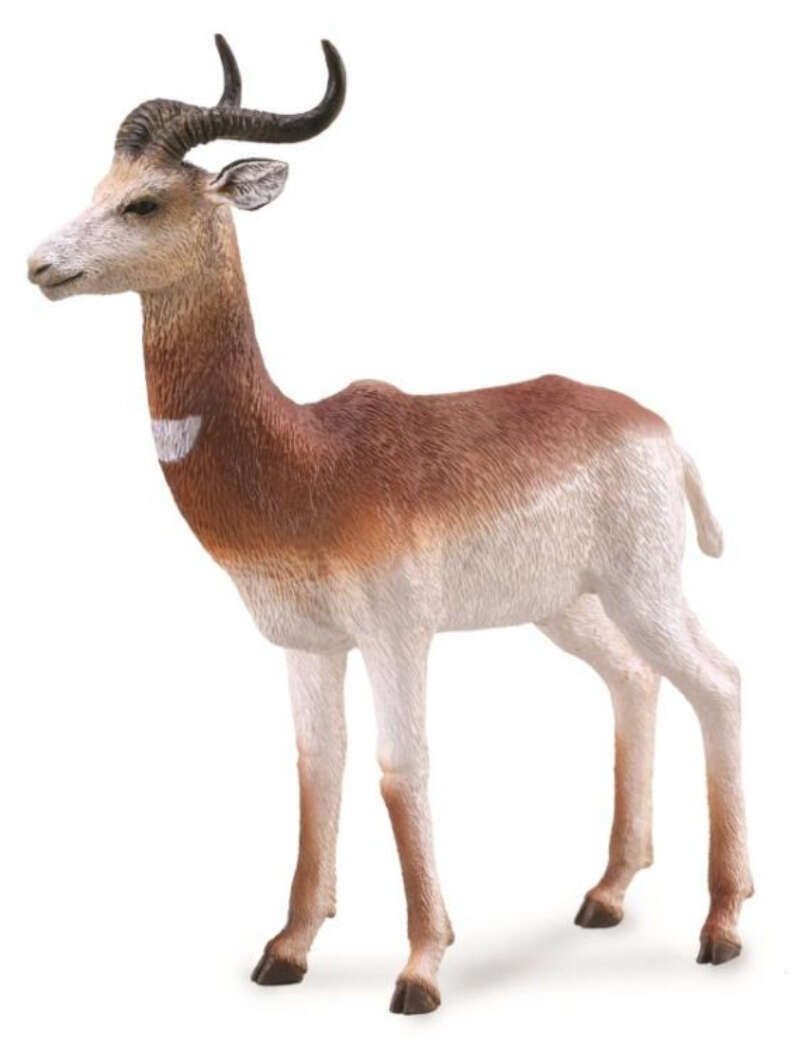 Dama Gazelle Figures and Toy Soldiers hobbyDB