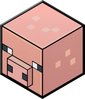 direct-link-image