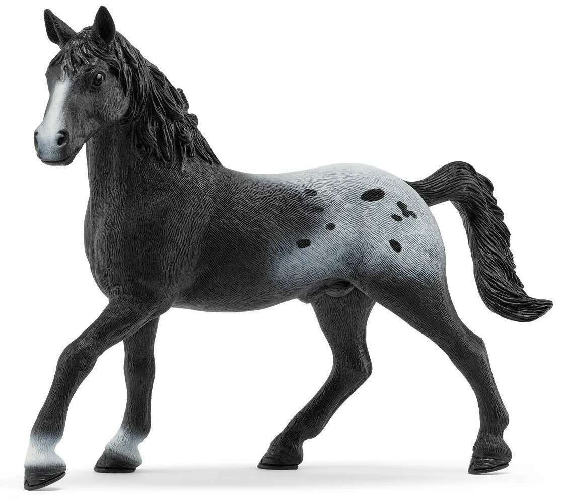 Knabstrupper stallion schleich top