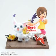 direct-link-image