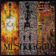 Destroy Erase Improve