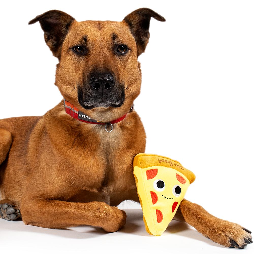Squeaky pizza dog toy shop