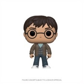 Harry Potter with Two Wands | Vinyl Art Toys | hobbyDB