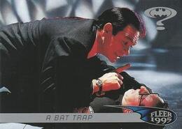 A Bat Trap