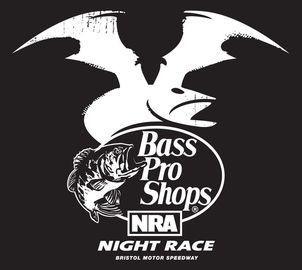 bass-pro-shops-nra-night-race-race