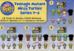Teenage Mutant Ninja Turtles Series 1-4