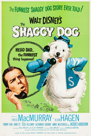 the-shaggy-dog-film