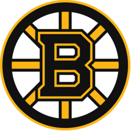 boston-bruins-sports-team