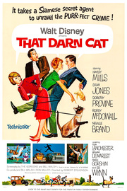 that-darn-cat-film