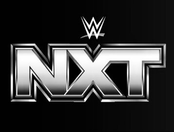 nxt-organization