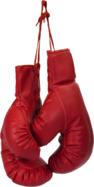 boxing-sport