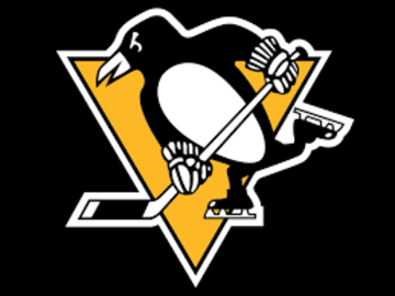 pittsburgh-penguins-sports-team