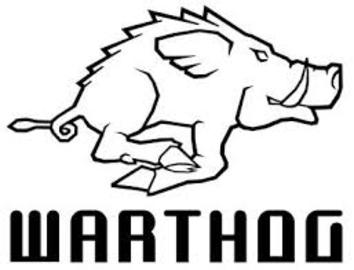 warthog-games-limited-developer