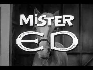 mister-ed-tv-show