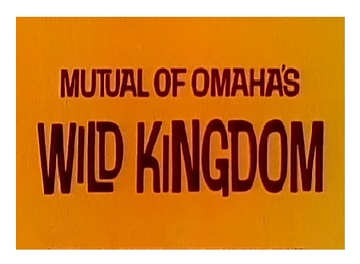 mutual-of-omaha-s-wild-kingdom-tv-show