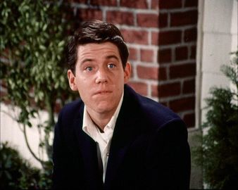 Warren "Potsie" Weber | Happy Days (Character) | hobbyDB