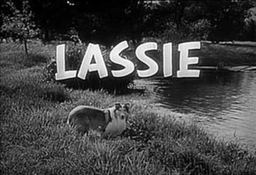 lassie-tv-show