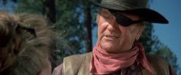 rooster-cogburn-character-character