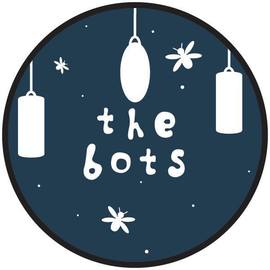 the-bots-artist