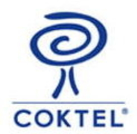 coktel-vision-developer