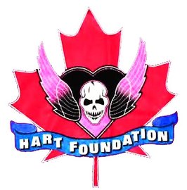 the-hart-foundation-sports-team