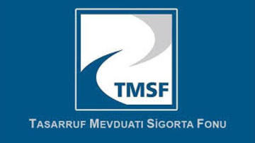 tmsf-organization