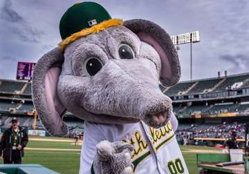 Stomper (Oakland Athletics Mascot), Mascot