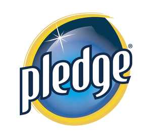 pledge-brand