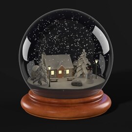 snow-globe-collectible-type