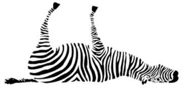 dead-zebra-brand