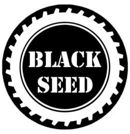black-seed-toys-brand