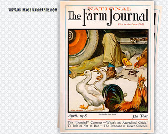 the-farm-journal-magazines-periodicals